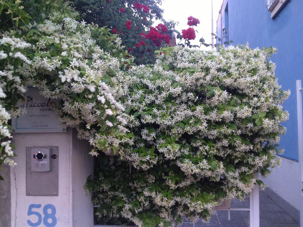Il Piccolo Rooms Pontedera Εξωτερικό φωτογραφία